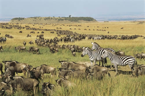How to start a tour business in Kenya