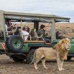 Setting Up a Tour Operator or Travel Agency in Kenya as a Foreigner