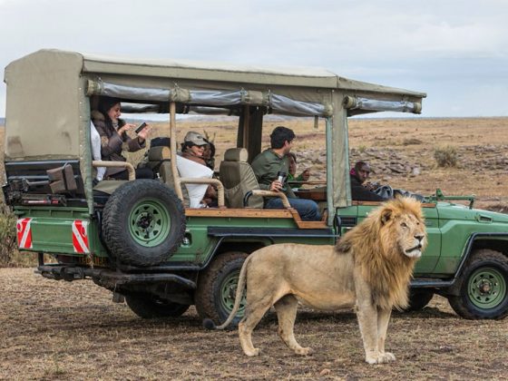 Setting Up a Tour Operator or Travel Agency in Kenya as a Foreigner