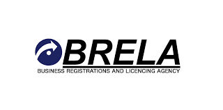 How to Register a Foreign Company in Tanzania