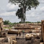 Investing in the DRC Mining Sector 2026