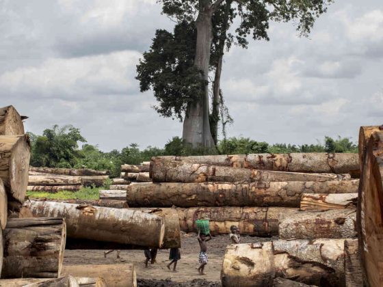 Investing in the DRC Mining Sector 2026