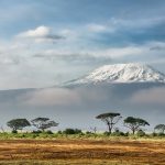 how to register a company in Kenya as a foreigner