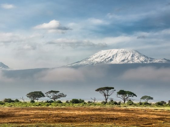 How to Register a Company in Kenya as a Foreigner: The Complete 2026 Guide (And Why Most Investors Get Stuck)